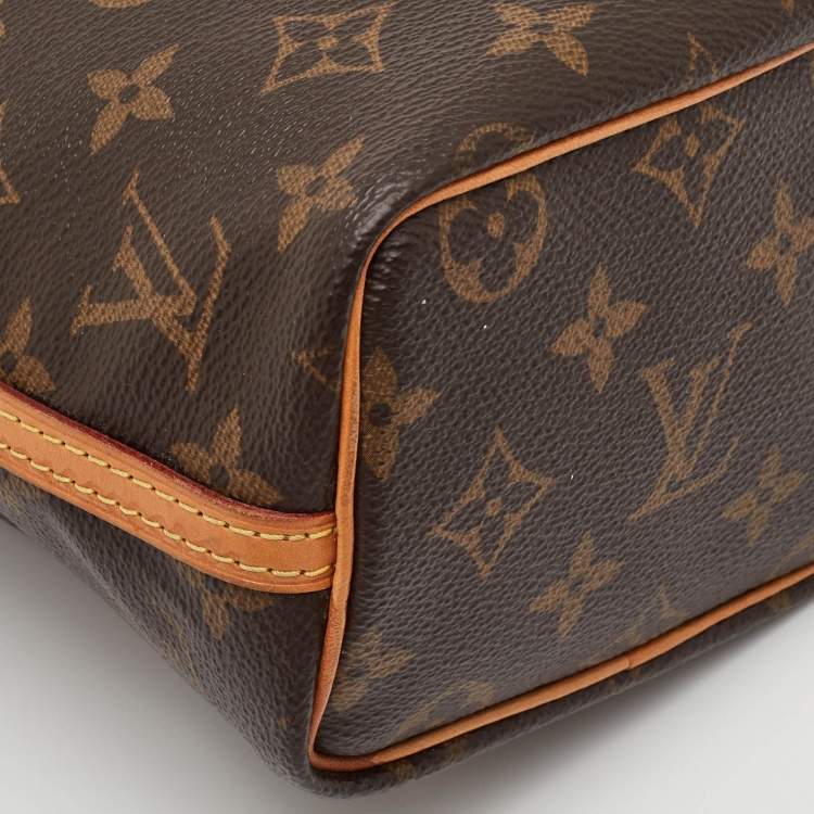 Pre Owned Louis Vuitton Noe Nano Brown Monogram Canvas and Leather Bucket Bag