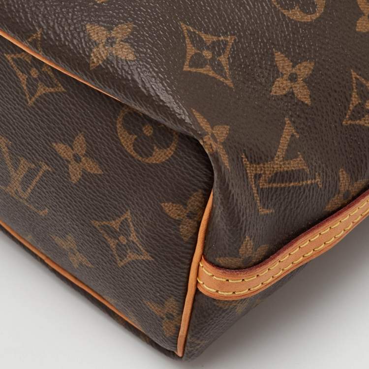 Pre Owned Louis Vuitton Noe Nano Brown Monogram Canvas and Leather Bucket Bag