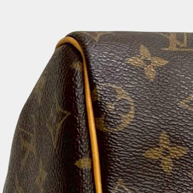 Pre Owned Louis Vuitton Brown Monogram Speedy 25