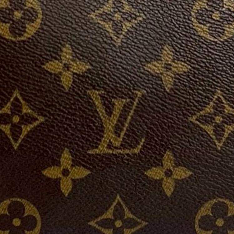 Pre Owned Louis Vuitton Brown Monogram Speedy 25