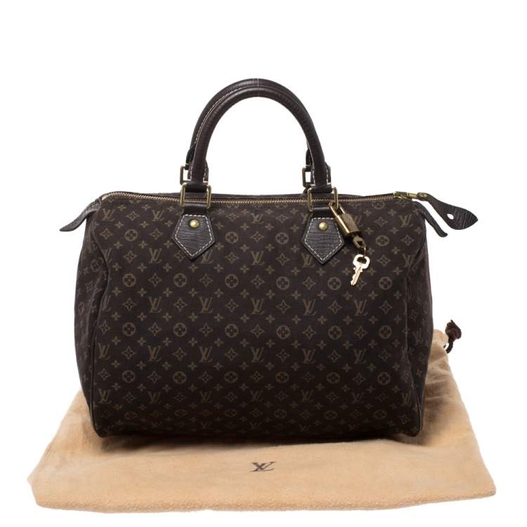 Pre Owned Louis Vuitton Fusain Monogram Canvas Mini Lin Speedy 30 Bag