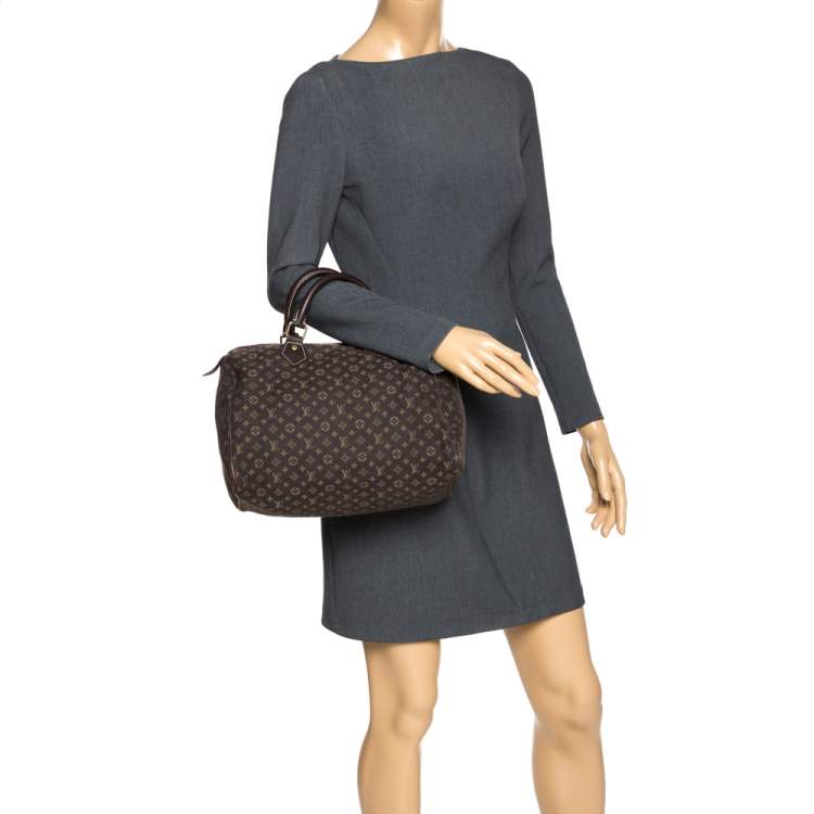Pre Owned Louis Vuitton Fusain Monogram Canvas Mini Lin Speedy 30 Bag