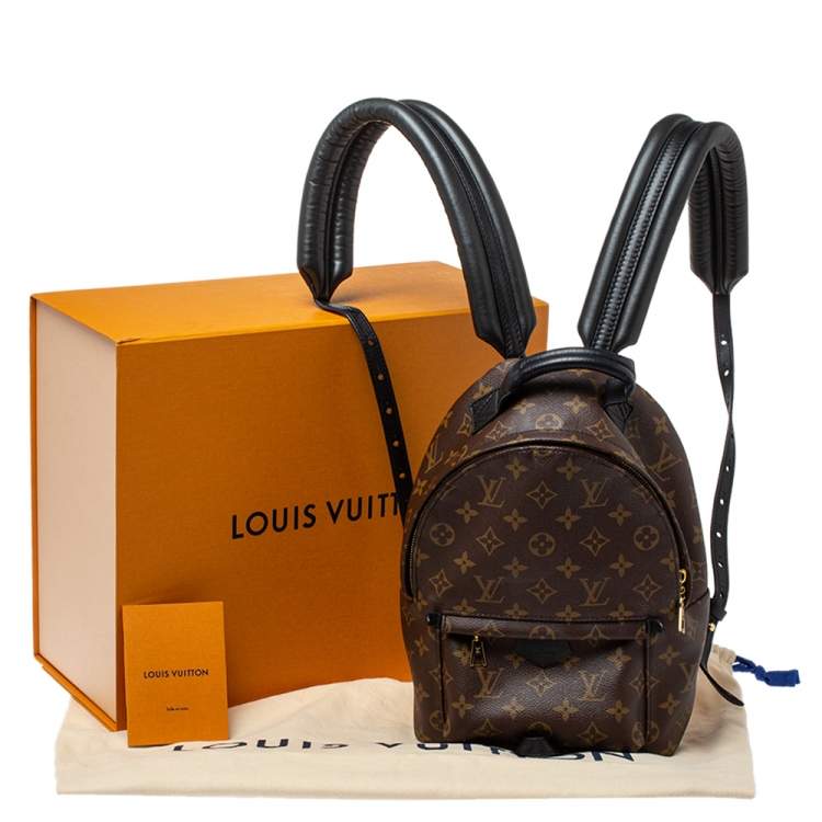 Pre Owned Louis Vuitton Monogram Canvas Palm Springs PM Backpack