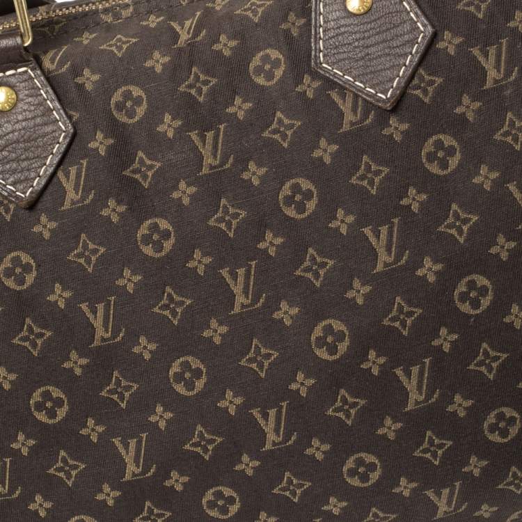 مملوكة مسبقًا Louis Vuitton Fusain Monogram Canvas Mini Lin Speedy 30 Bag