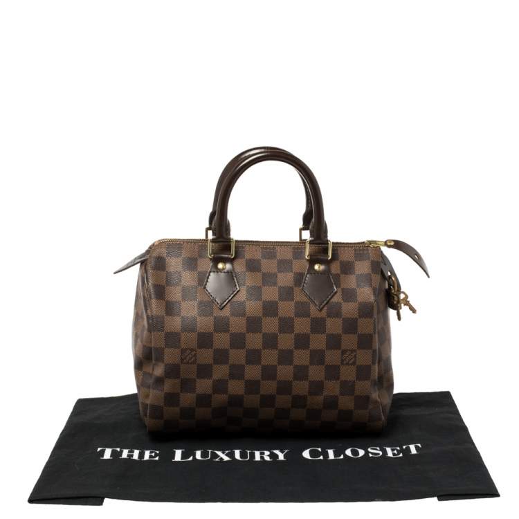 Pre Owned Louis Vuitton Damier Ebene Canvas Speedy 25 Bag