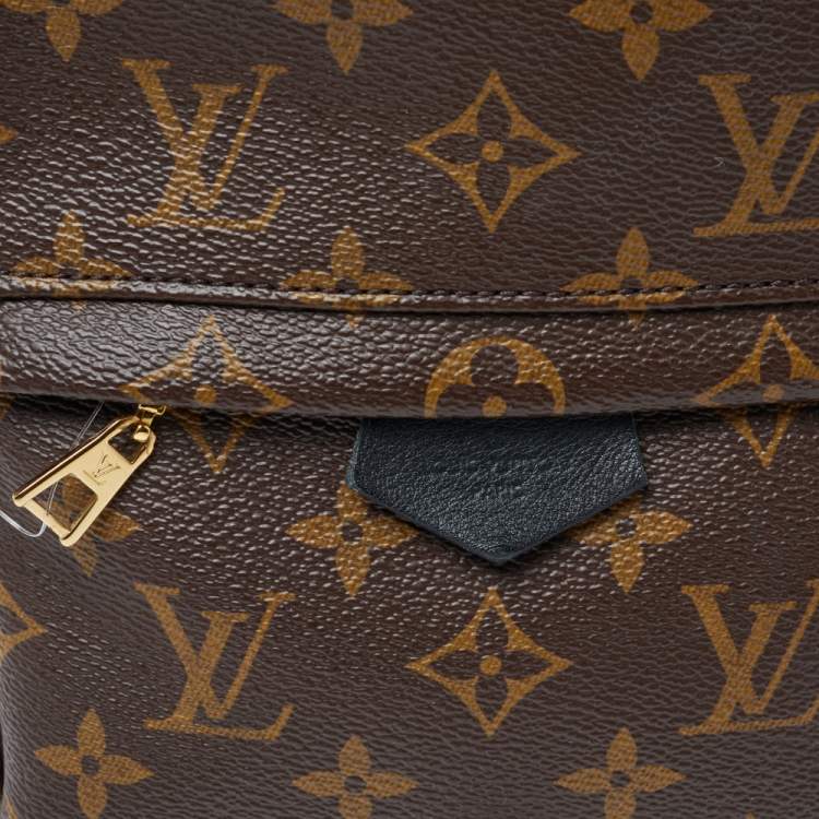 Pre Owned Louis Vuitton Monogram Canvas Palm Springs PM Backpack