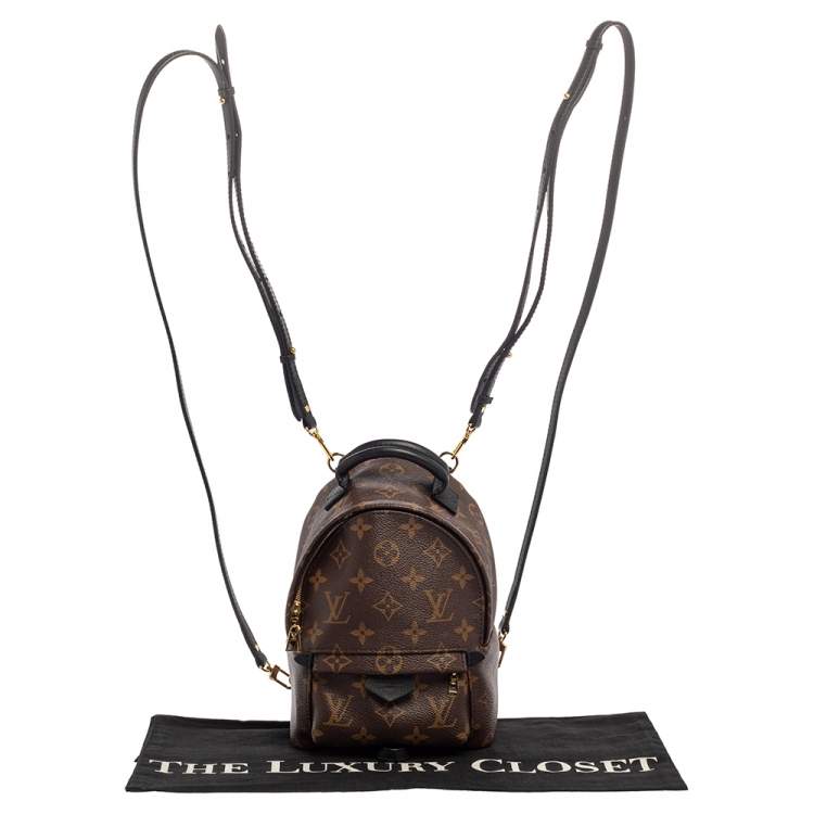 مملوكة مسبقًا Louis Vuitton Monogram Canvas Mini Palm Springs Backpack