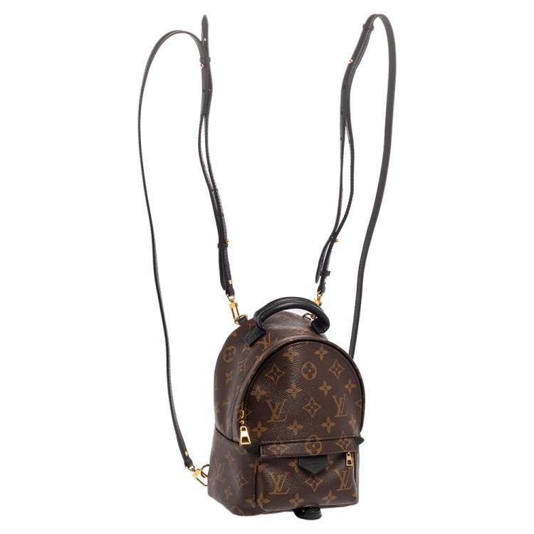مملوكة مسبقًا Louis Vuitton Monogram Canvas Mini Palm Springs Backpack