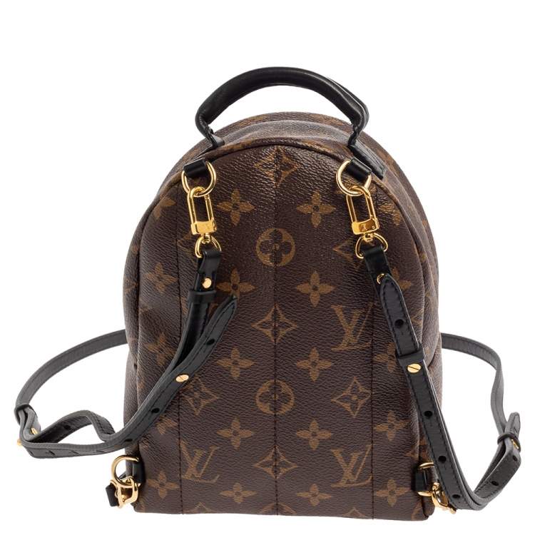 مملوكة مسبقًا Louis Vuitton Monogram Canvas Mini Palm Springs Backpack