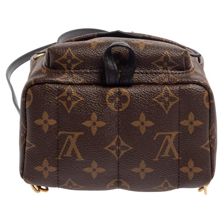 مملوكة مسبقًا Louis Vuitton Monogram Canvas Mini Palm Springs Backpack
