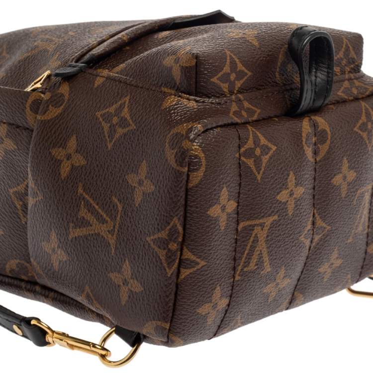 مملوكة مسبقًا Louis Vuitton Monogram Canvas Mini Palm Springs Backpack