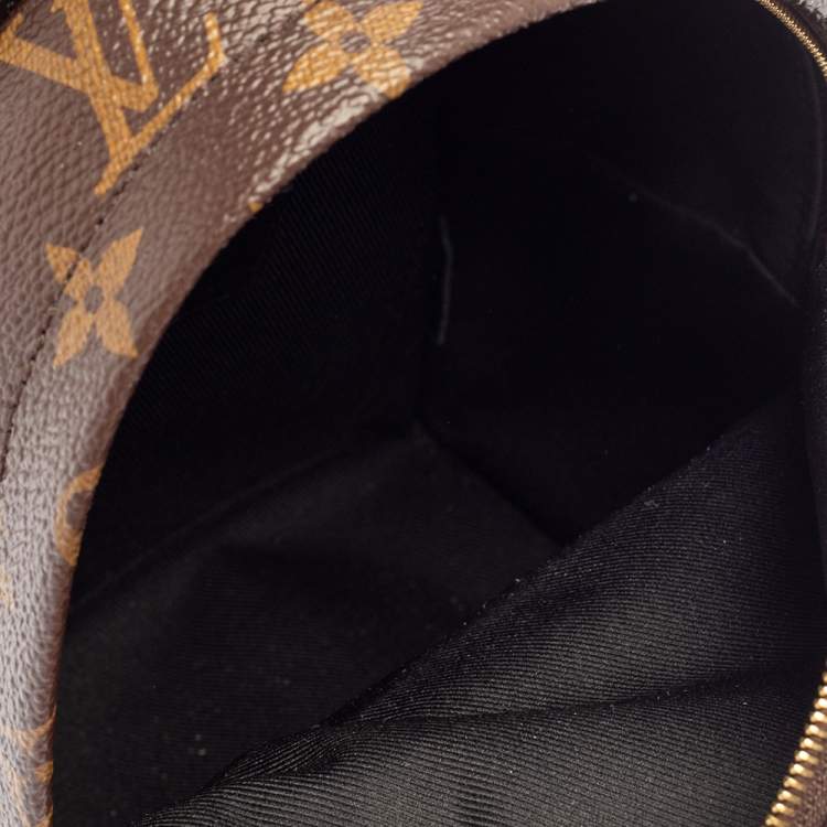 مملوكة مسبقًا Louis Vuitton Monogram Canvas Mini Palm Springs Backpack