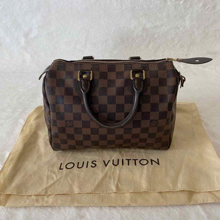 Pre Owned Louis Vuitton Brown Damier Ebene Canvas Speedy 25 Bag