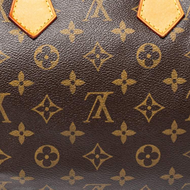 Pre Owned Louis Vuitton Monogram Canvas Speedy 25 Bag