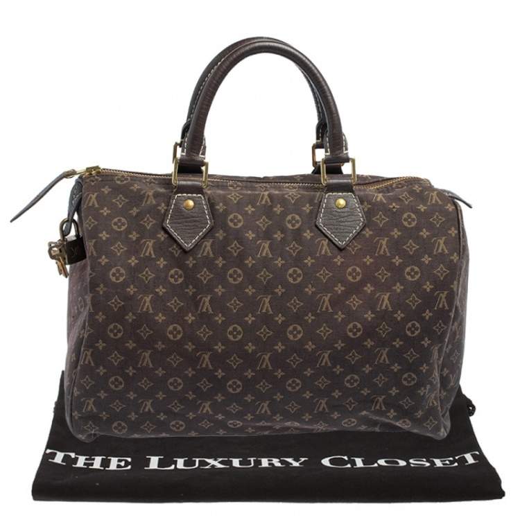 مملوكة مسبقًا Louis Vuitton Fusain Monogram Canvas Mini Lin Speedy 30 Bag