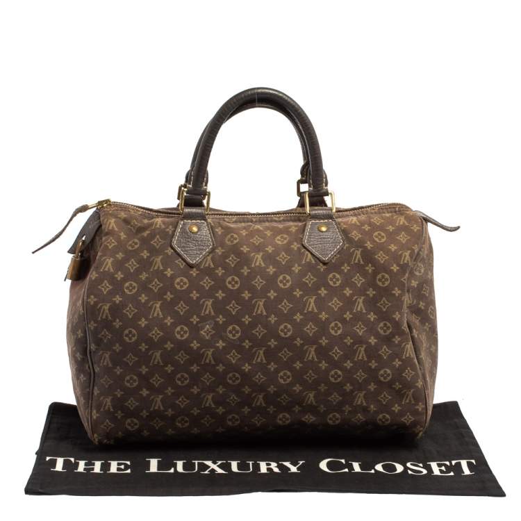 Pre Owned Louis Vuitton Fusain Monogram Mini Lin Canvas Speedy 30 Bag