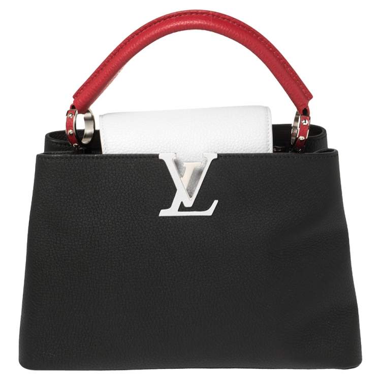 Louis Vuitton Multicolor Taurillon Leather Capucines PM Bag at