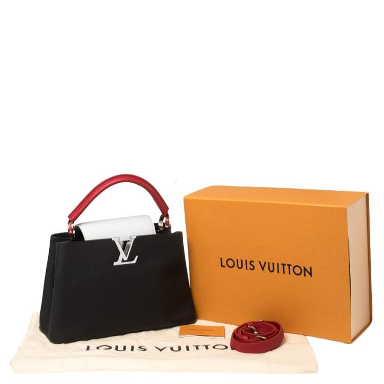 Pre Owned Louis Vuitton Multicolor Taurillon Leather Capucines MM Bag