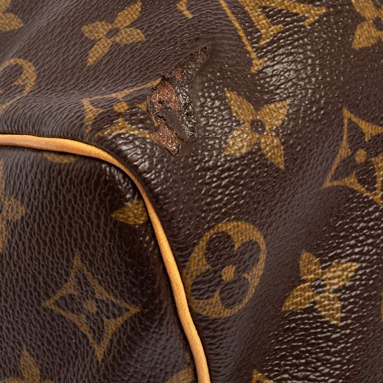Pre Owned Louis Vuitton Monogram Canvas Speedy 25 Bag