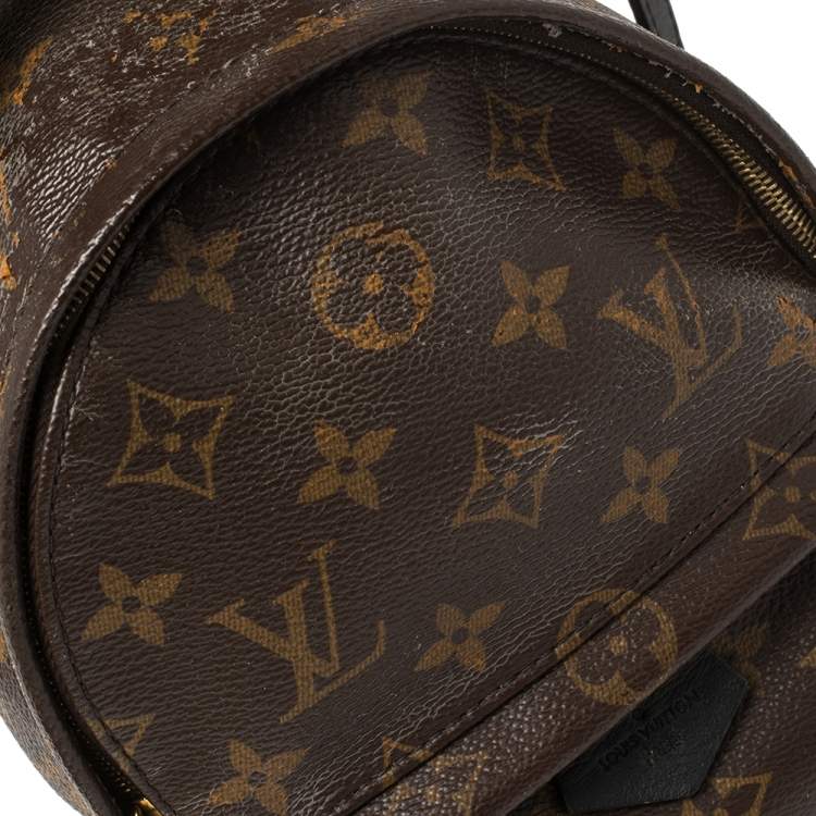 Pre Owned Louis Vuitton Monogram Canvas Mini Palm Springs Backpack