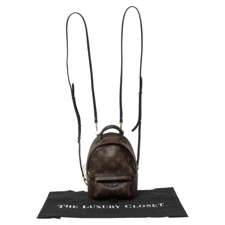 Pre Owned Louis Vuitton Monogram Canvas Mini Palm Springs Backpack