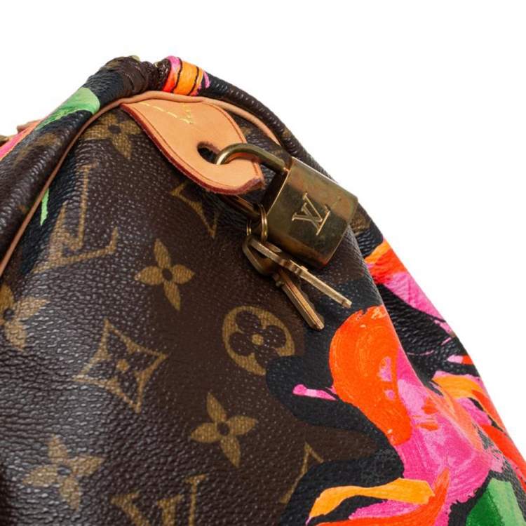مملوكة مسبقًا Louis Vuitton Multicolor Monogram Canvas Limited Edition Stephen Sprouse Roses Speedy 30 Bag