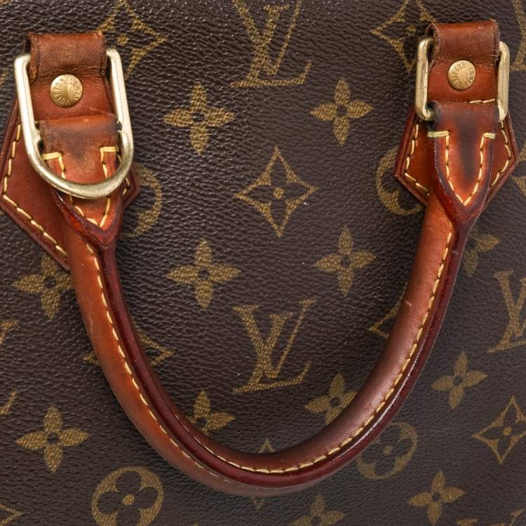 Pre Owned Louis Vuitton Monogram Canvas Alma PM Bag