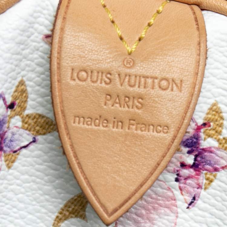Pre Owned Louis Vuitton Monogram Canvas Watercolor Aquarelle Richard Prince Speedy 35 Bag