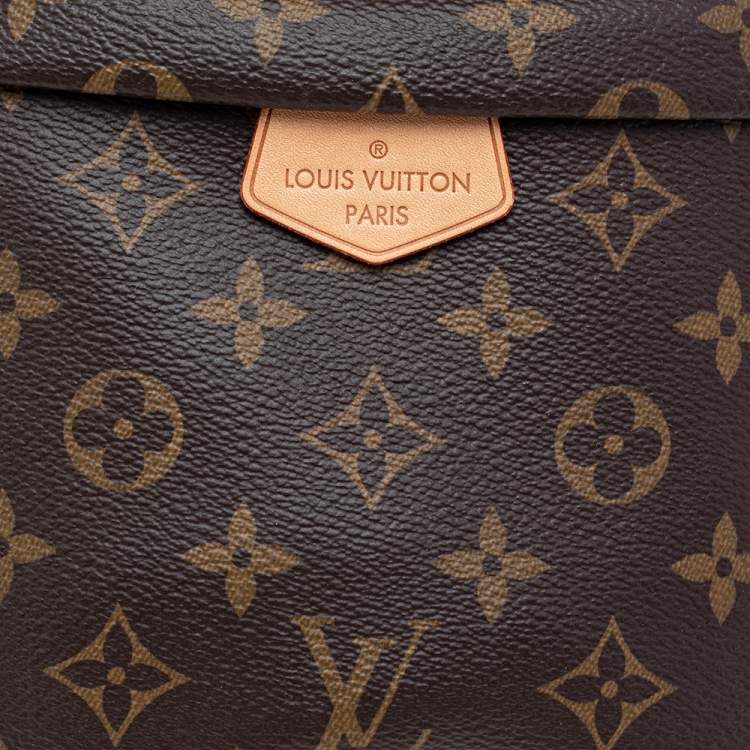 Pre Owned Louis Vuitton Monogram Canvas Bumbag MM Belt Bag
