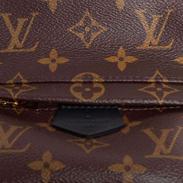 Pre Owned Louis Vuitton Monogram Canvas Mini Palm Springs Backpack