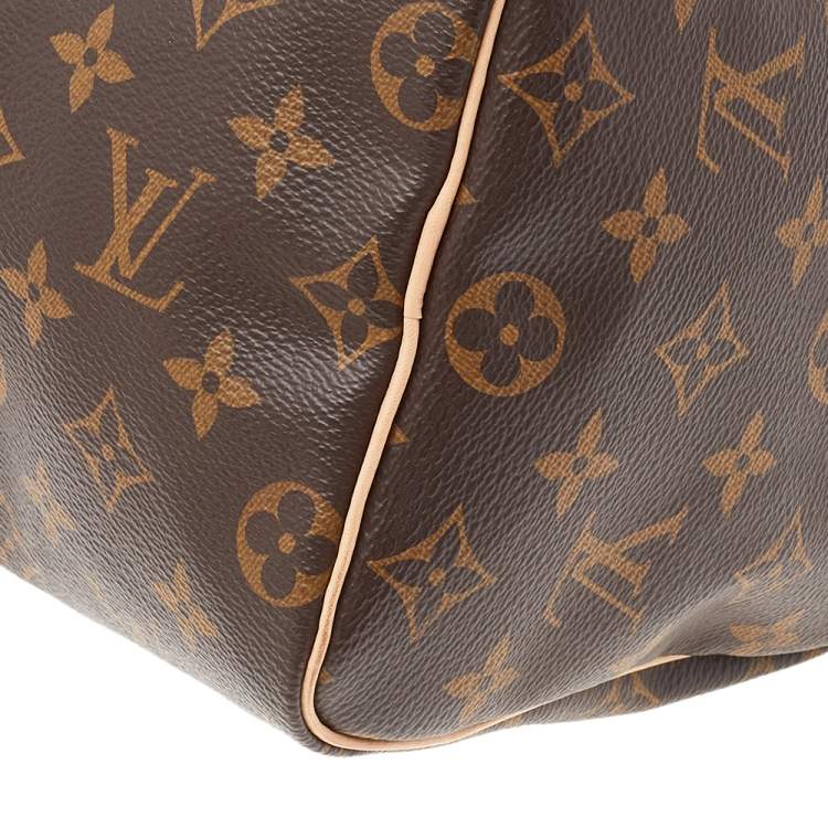 Pre Owned Louis Vuitton Monogram Canvas Speedy 25 Bag