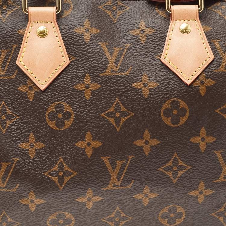 Pre Owned Louis Vuitton Monogram Canvas Speedy 25 Bag