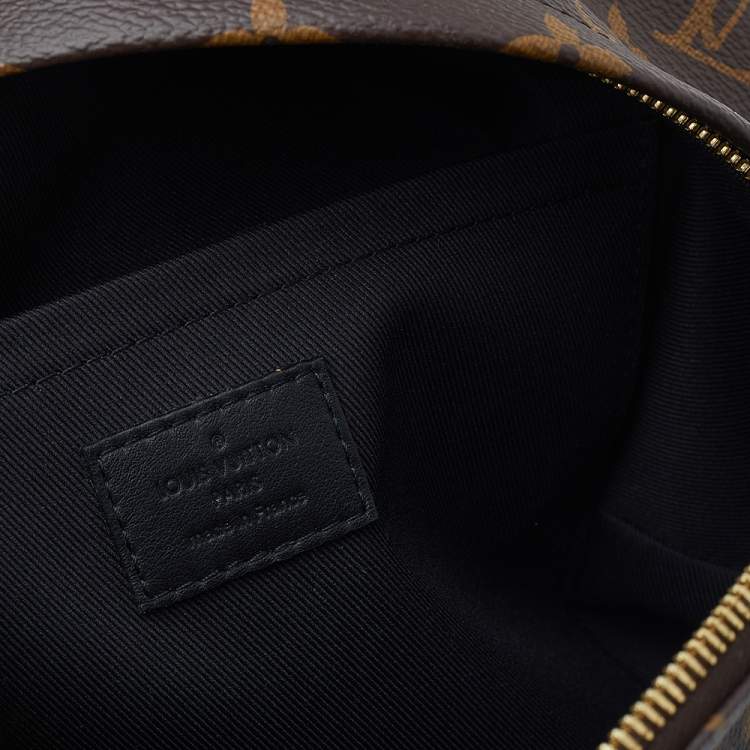 مملوكة مسبقًا Louis Vuitton Monogram Canvas Palm Springs PM Backpack