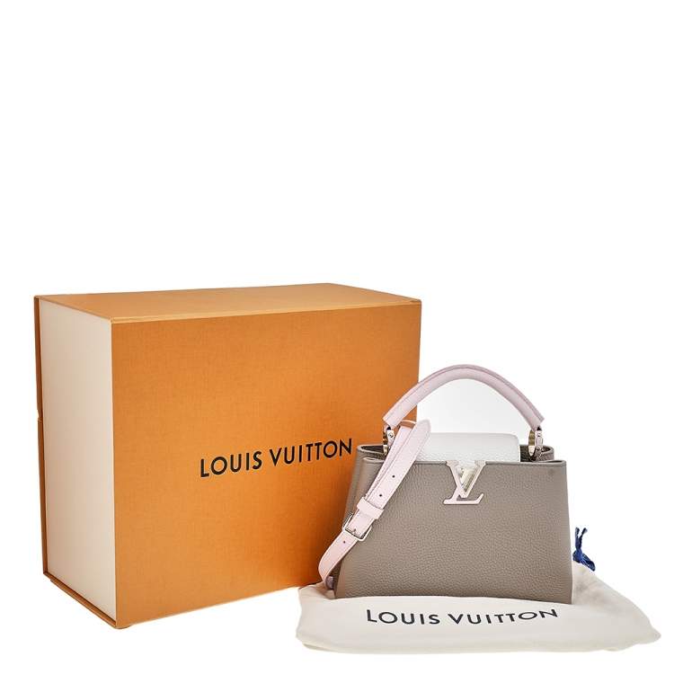 Pre Owned Louis Vuitton Tricolor Taurillon Leather Capucines Mini Bag