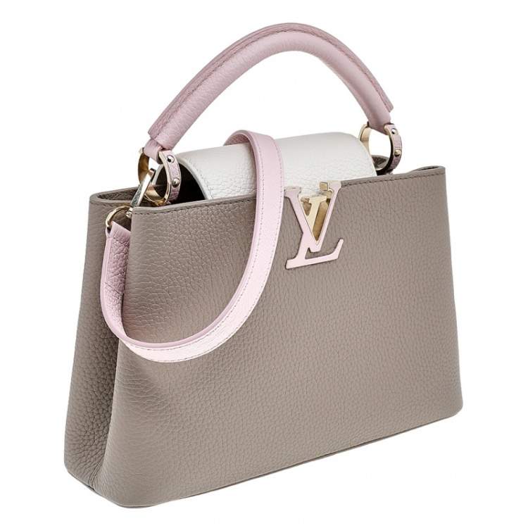 Pre Owned Louis Vuitton Tricolor Taurillon Leather Capucines Mini Bag