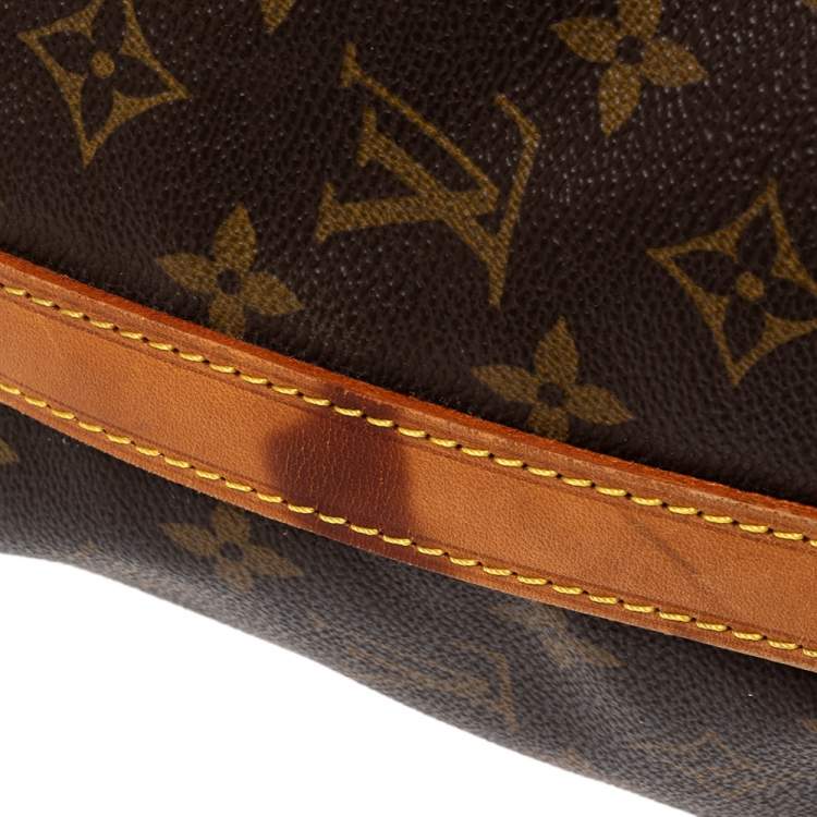 Pre Owned Louis Vuitton Monogram Canvas Large Noe Drawstring Bag