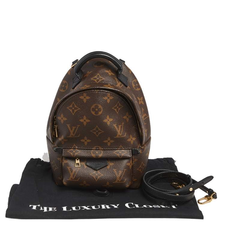 Pre Owned Louis Vuitton Monogram Canvas Mini Palm Springs Backpack