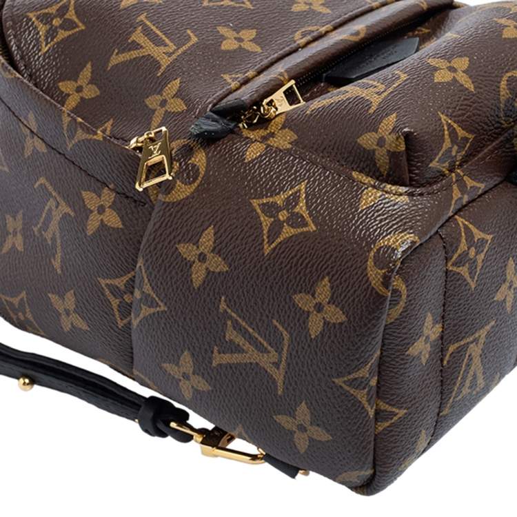 Pre Owned Louis Vuitton Monogram Canvas Mini Palm Springs Backpack