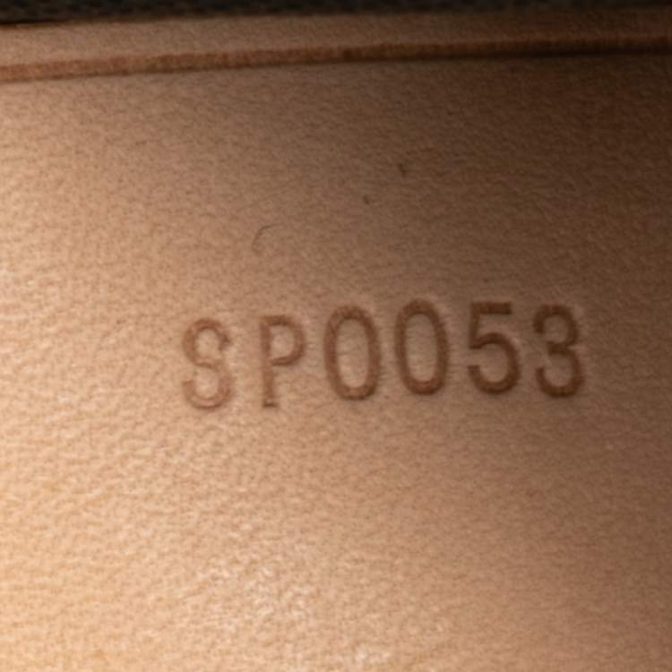 Pre Owned Louis Vuitton Monogram Canvas and Leather Garment Cover