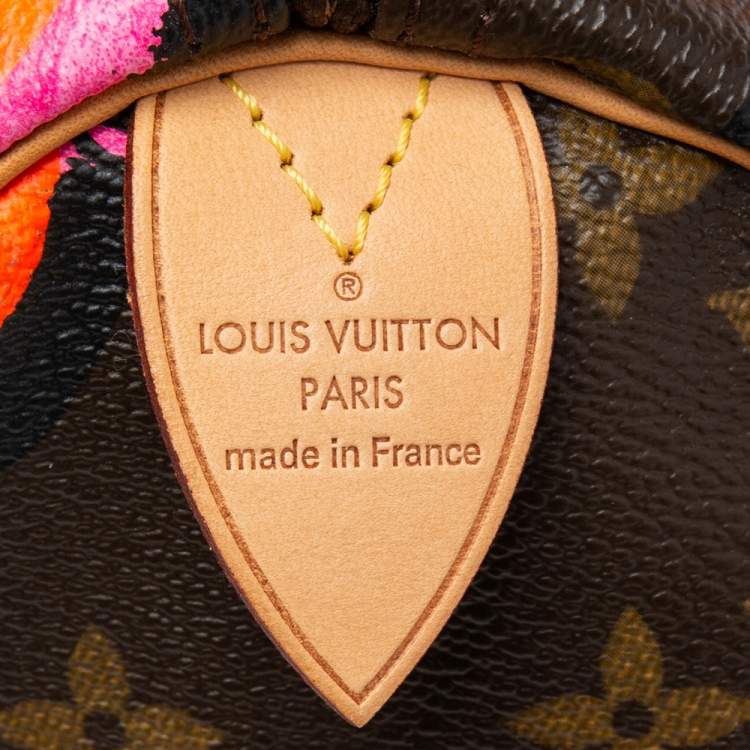Pre Owned Louis Vuitton Multicolor Monogram Canvas Stephen Sprouse Roses Speedy 30 Bag