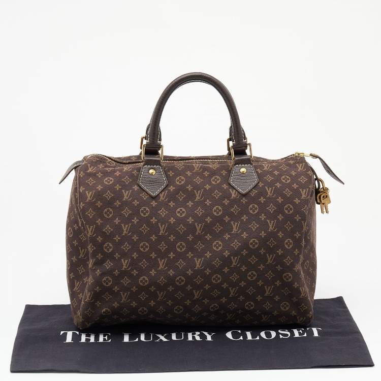 Pre Owned Louis Vuitton Monogram Mini Lin Canvas Speedy 30 Bag