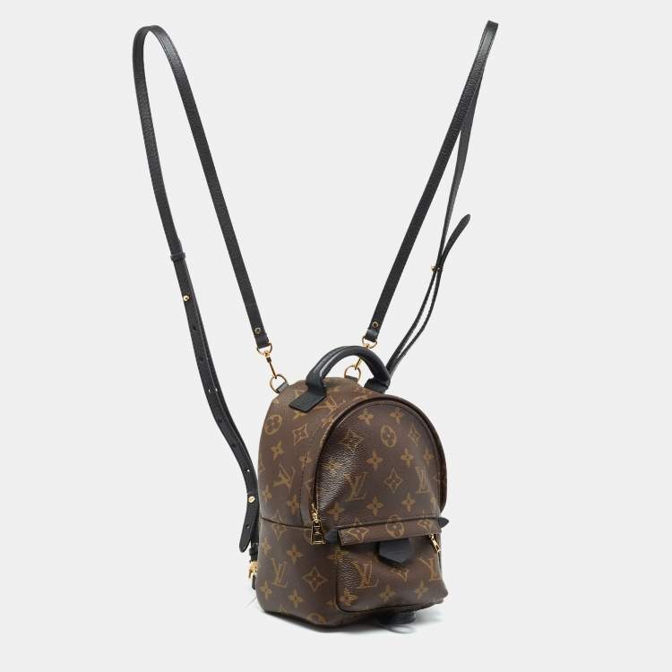 Pre Owned Louis Vuitton Monogram Canvas Mini Palm Springs Backpack
