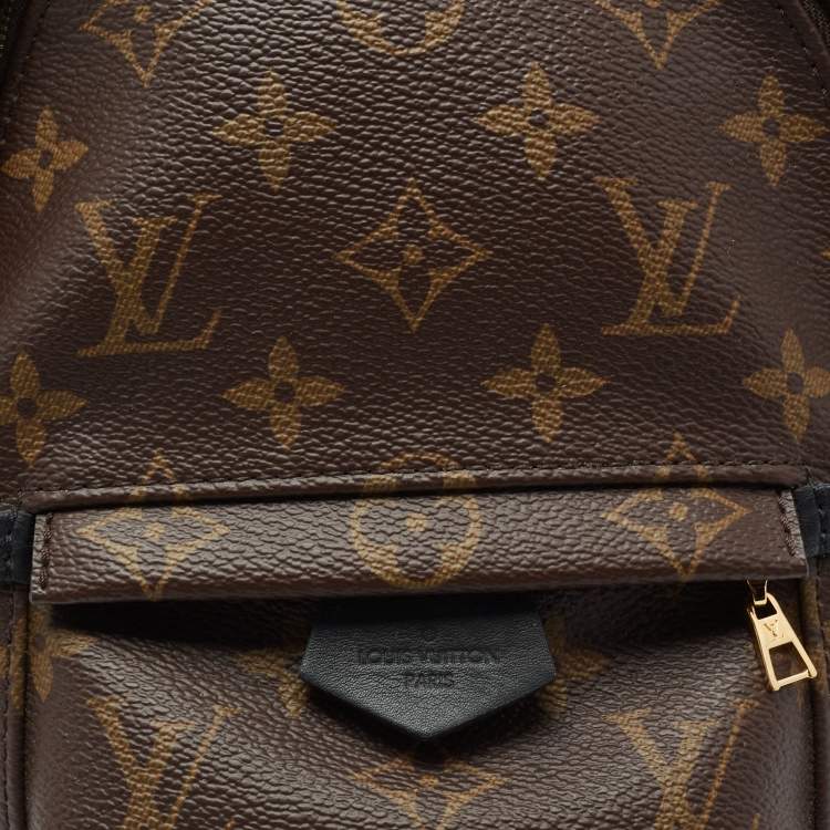 Pre Owned Louis Vuitton Monogram Canvas Mini Palm Springs Backpack