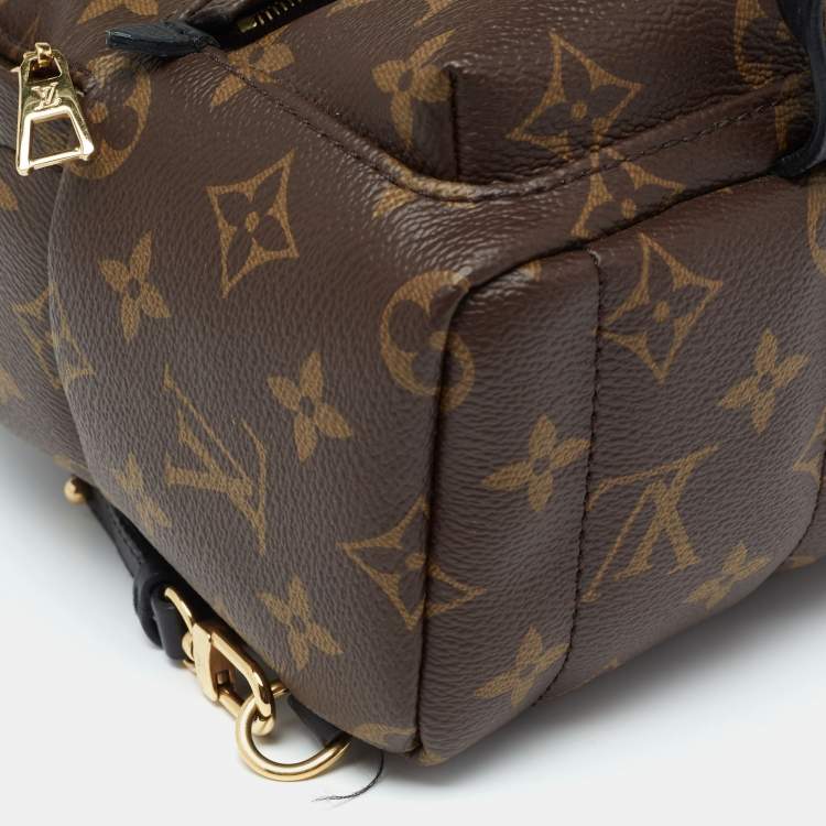 Pre Owned Louis Vuitton Monogram Canvas Mini Palm Springs Backpack