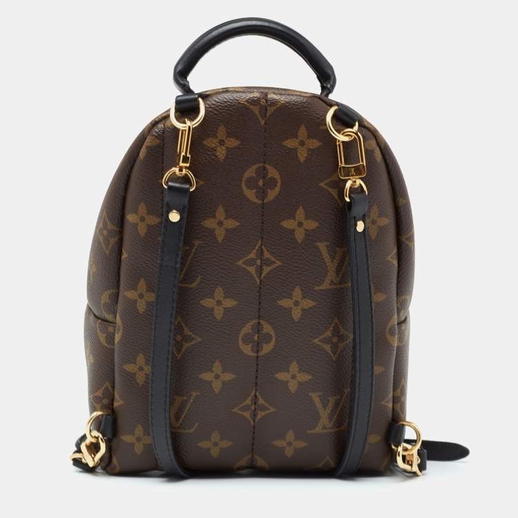 Pre Owned Louis Vuitton Monogram Canvas Mini Palm Springs Backpack