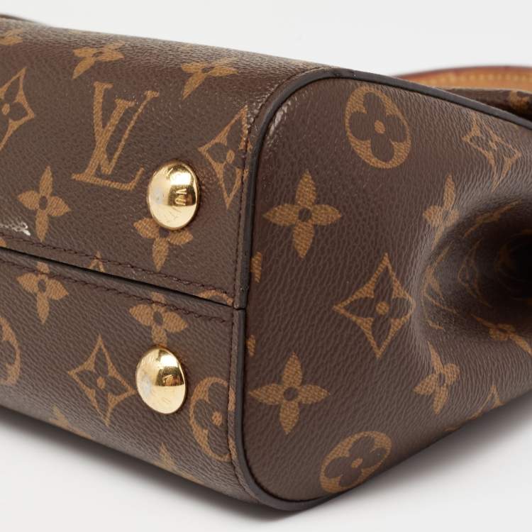 Pre Owned Louis Vuitton Monogram Canvas and Leather Cluny BB Bag