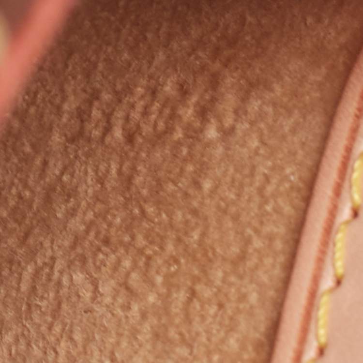Pre Owned Louis Vuitton Monogram Canvas and Leather Limited Edition 0431 Tweedy Rabat Bag