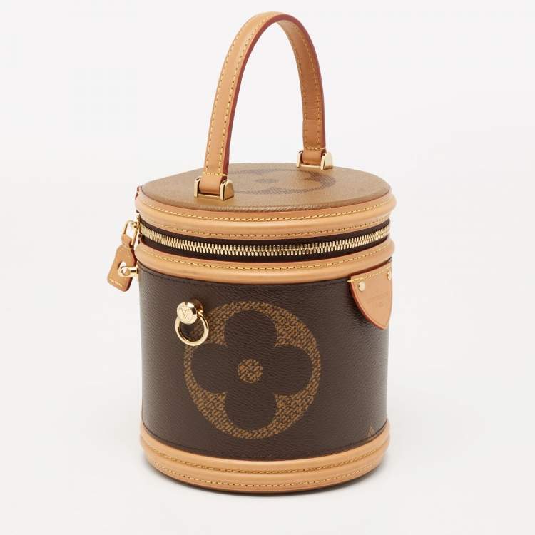 Pre Owned Louis Vuitton Monogram Giant Canvas Cannes Bag