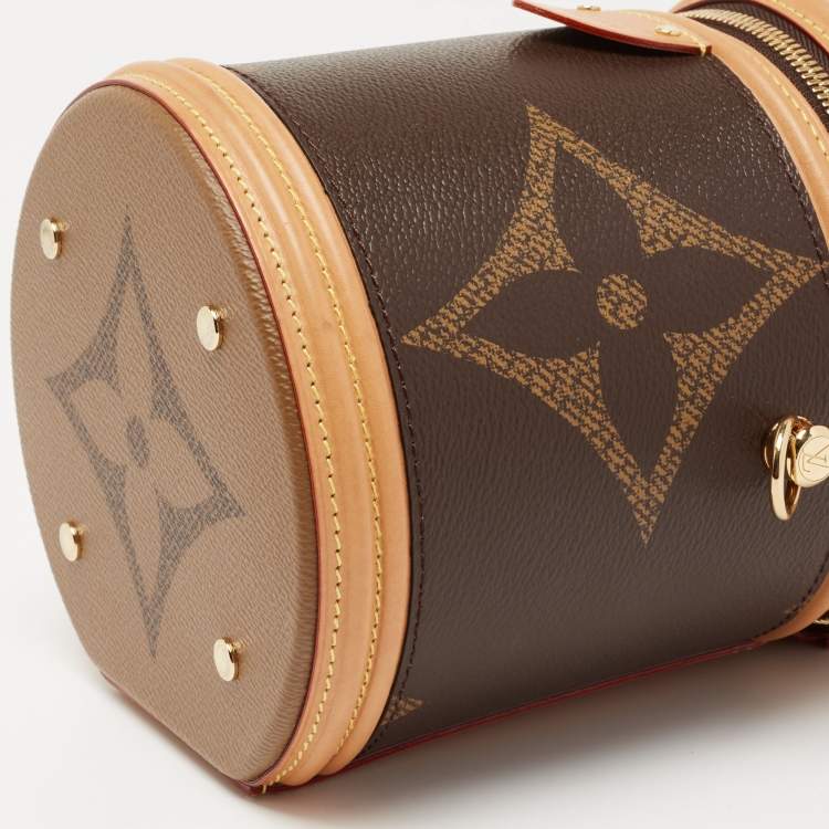 Pre Owned Louis Vuitton Monogram Giant Canvas Cannes Bag