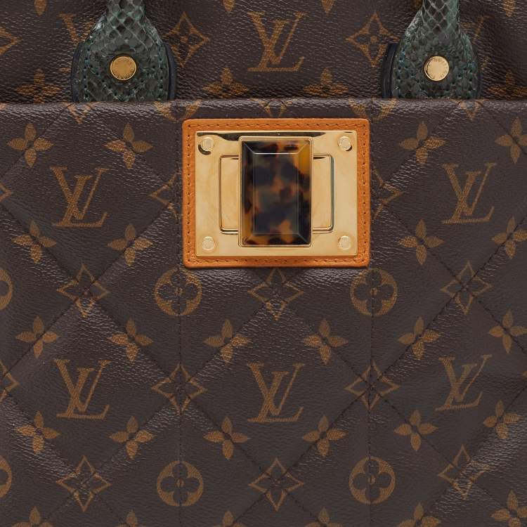 Pre Owned Louis Vuitton Monogram Canvas Limited Edition Etoile Exotique MM Bag